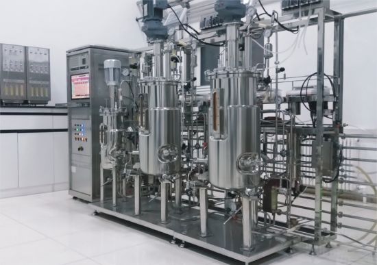 Fermenter and Bioreactor manufacturer